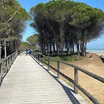 Charming Villa 500M From The Beach