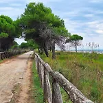 Charming Villa 500M From The Beach